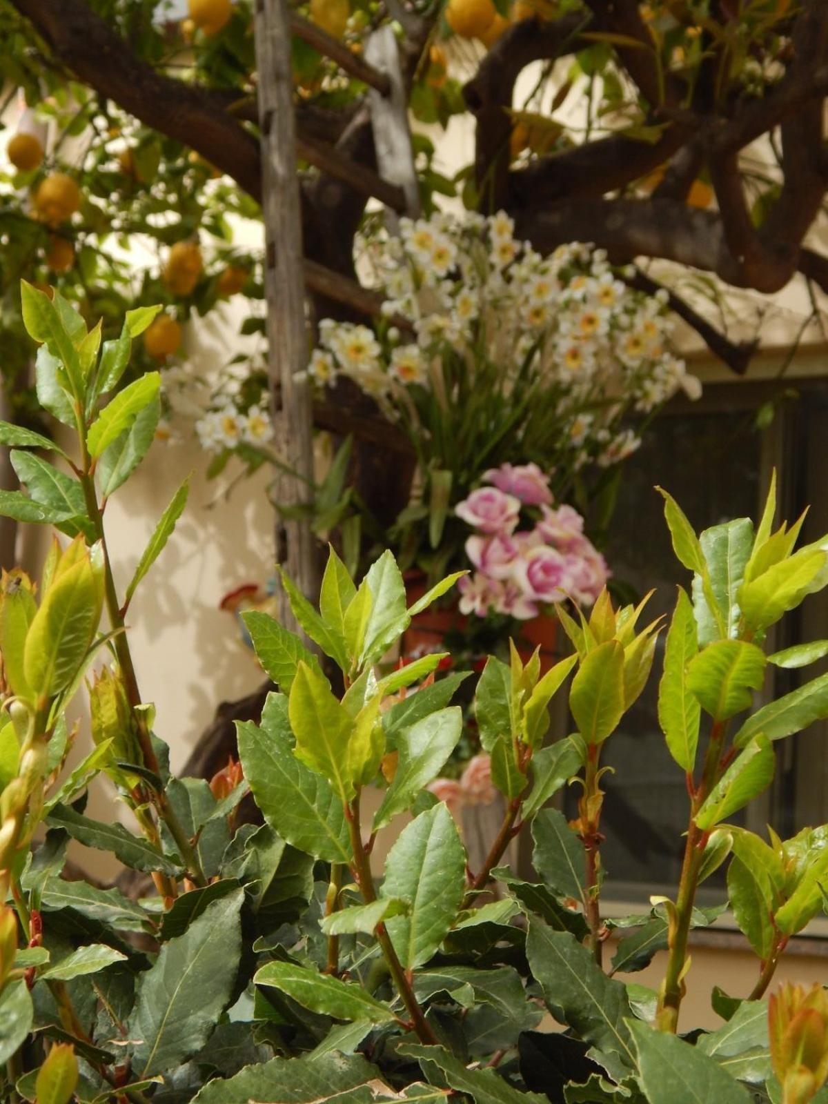 شقة Nel Giardino Di Nunziatina سيراكوزا المظهر الخارجي الصورة