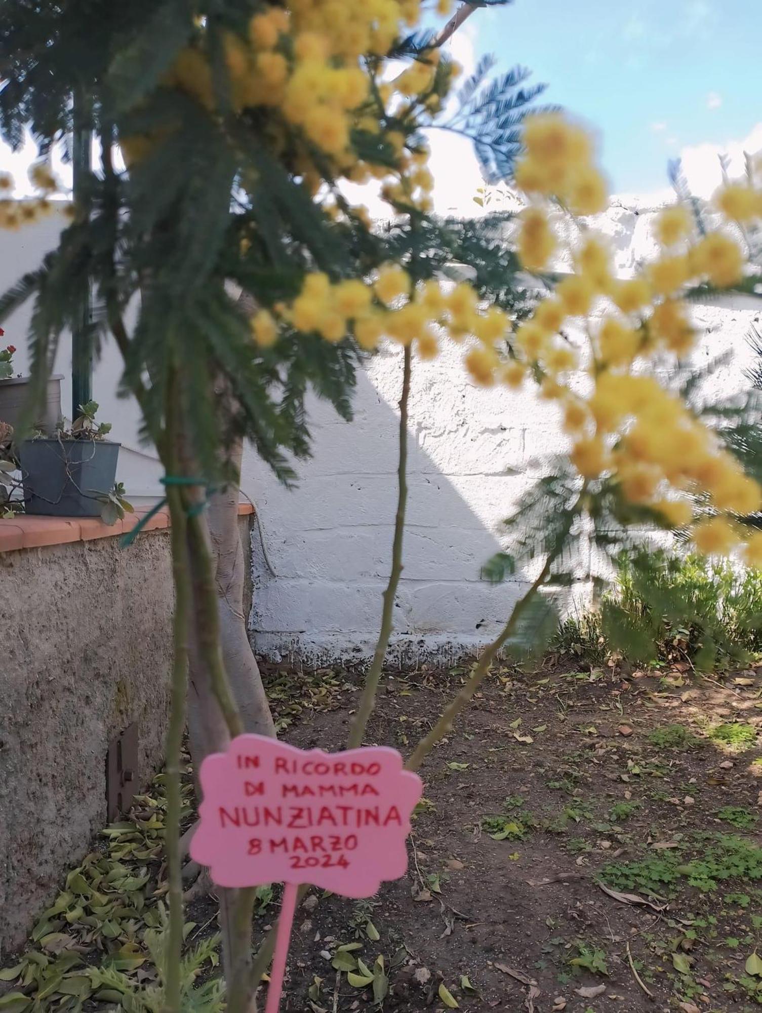 شقة Nel Giardino Di Nunziatina سيراكوزا المظهر الخارجي الصورة